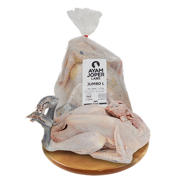 Ayam Joper Laris Jumbo L