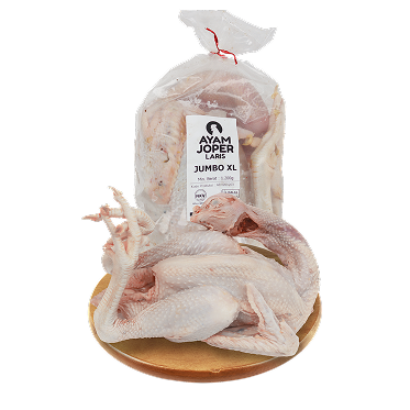 Ayam Joper Laris Jumbo XL