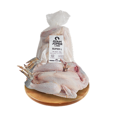 Ayam Joper Laris Super L
