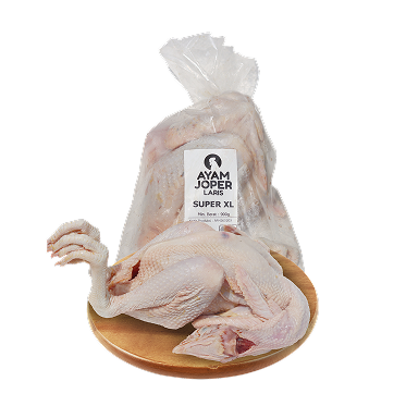 Ayam Joper Laris Super XL